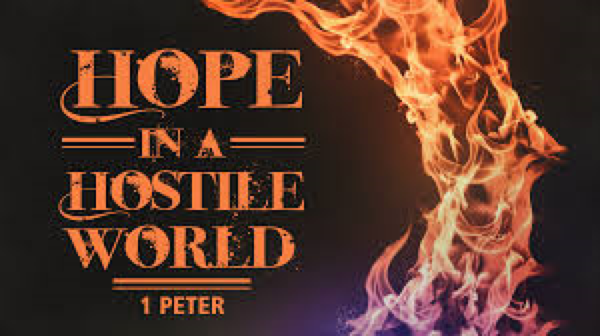 Hope in a Hostile World Image