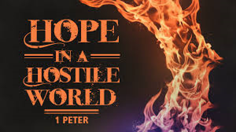 Hope in a Hostile World