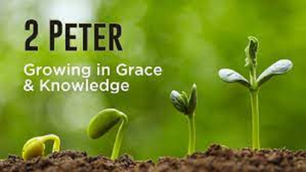 Growing in Grace and Knowledge Image